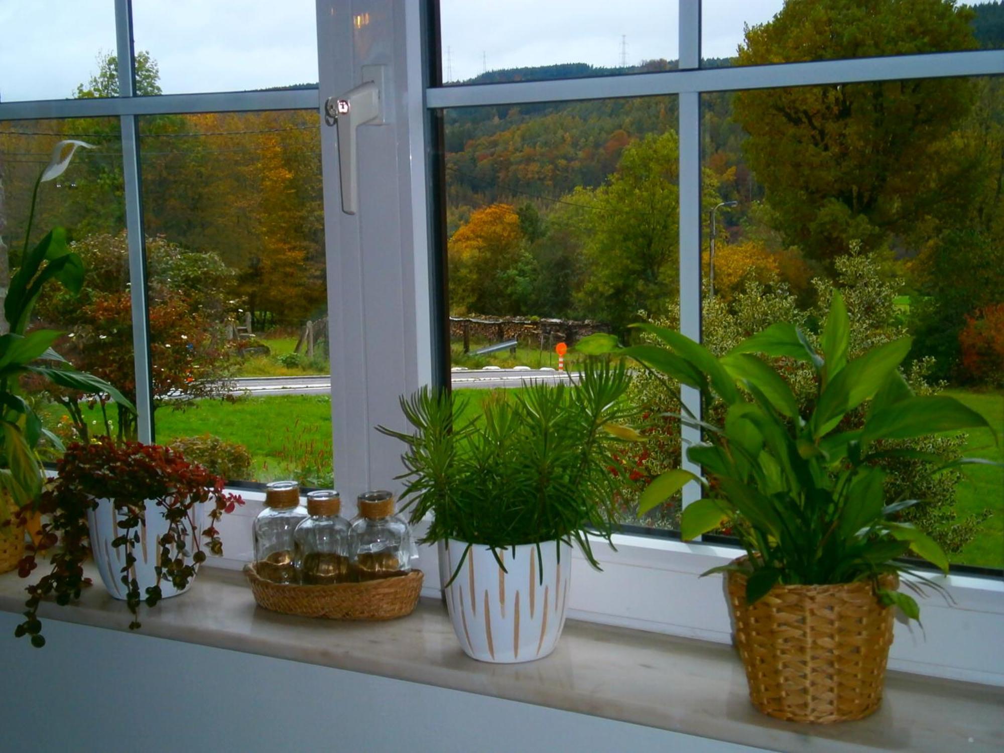 Bed and Breakfast Le Renard'Or Trois-Ponts Exterior foto
